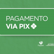 Logo do Pagamento via Pix