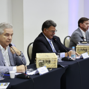 Edição 176 da Reunião Ordinária do Conselho de Associadas da Abep-TIC em Vitória (ES)